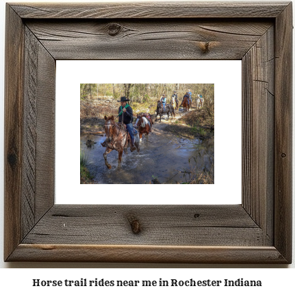 horse trail rides near me in Rochester, Indiana